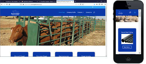 Randridge website portfolio image