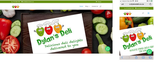 Dylan's Deli portfolio