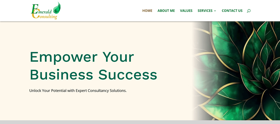 Emerald Consulting a business consulting and career guidance website
