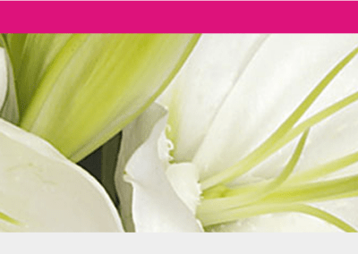 Ballito Flowers